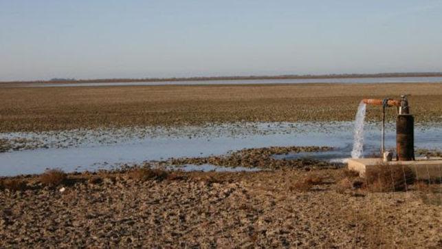 Procesados dos exalcaldes de Almonte y un exconsejero de la Junta por uso indebido de agua en Doñana