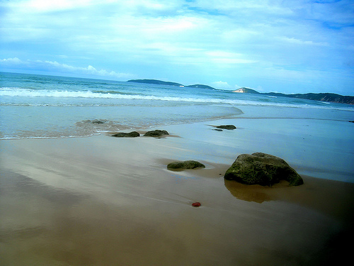 ONGs piden frenar plan de extracción de arena para rellenar playas de Cancún