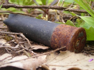 Desarrollan cartuchos de caza con materiales biodegradables