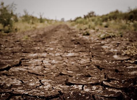 Una ONG advierte que sequía en Centroamérica puede derivar en una crisis alimentaria