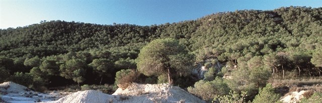 Paisajes protegidos de los parajes alicantinos de la Sierra Escalona