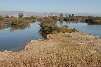 Nueva propuesta para la restauración de humedales en la desembocadura del río Guadalhorce