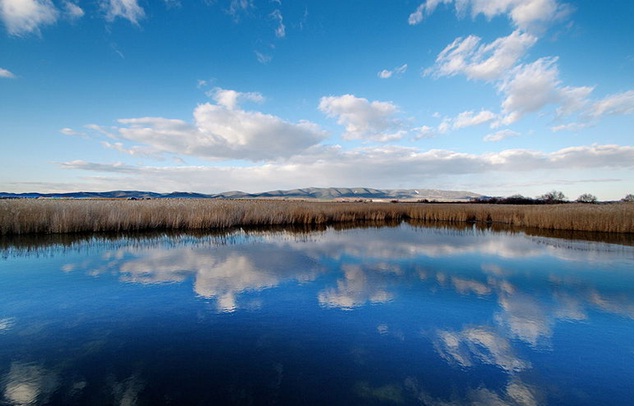 Los acuíferos constituyen valiosos ecosistemas acuáticos