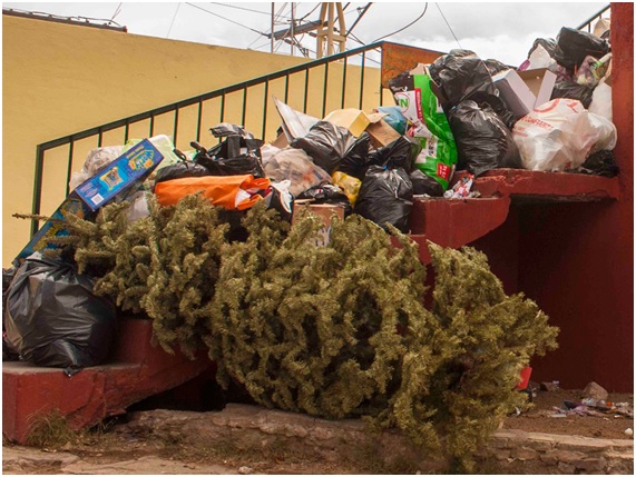 A por unas Navidades más verdes