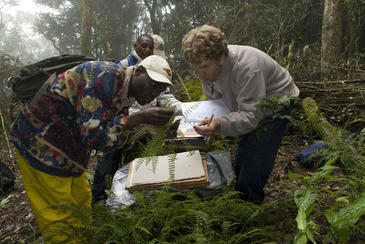 El Mediterráneo y el Caribe precisan la ‘máxima’ protección de su biodiversidad