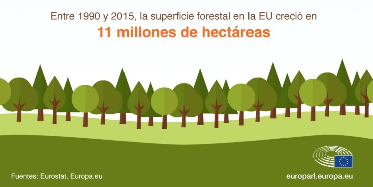 Bosques sanos para un clima sano: una de las prioridades del Parlamento Europeo en el ámbito medioambiental