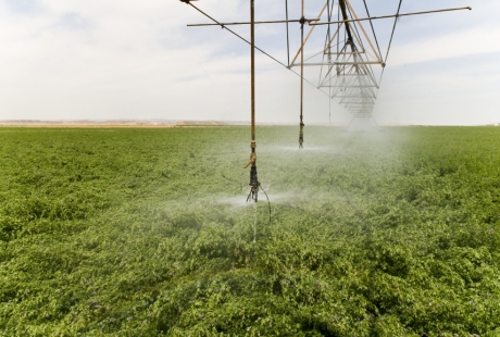 MAGRAMA pide comprensión a los regantes para lograr el equilibrio ambiental con sus necesidades