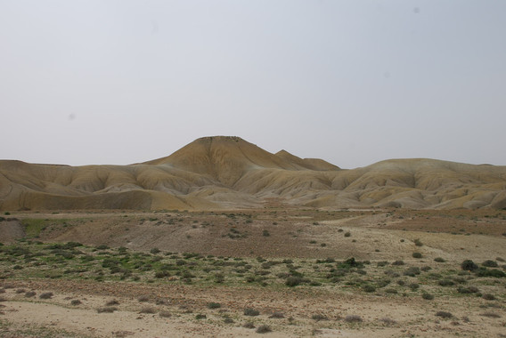 Microbios vs calentamiento global