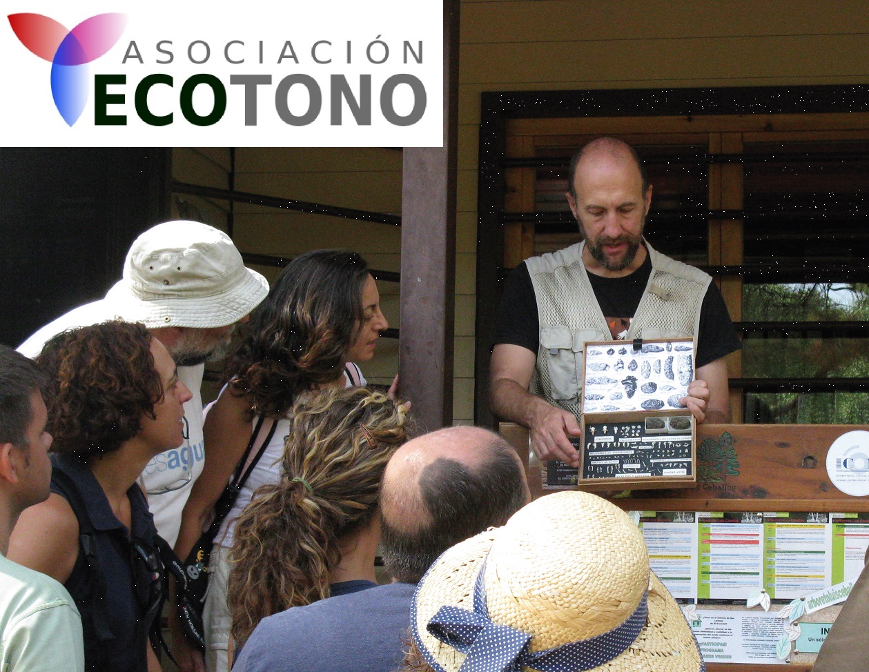 Asociación Ecotono