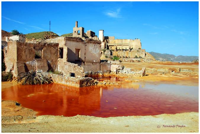 Proyecto europeo Mipolare en un curso de verano en Murcia sobre recuperación de suelos contaminados