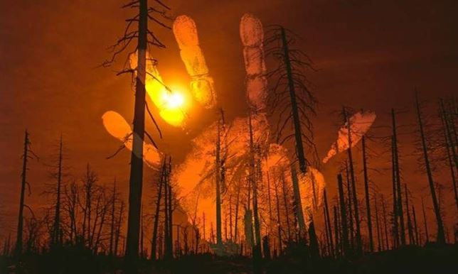 El ser humano para extender la ganadería arrasó los bosques de Madagascar hace 1.000 años