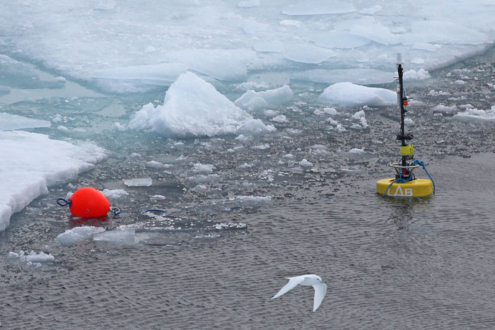 La gestión del futuro del océano Ártico se debate en un encuentro científico organizado por la UPC en Vilanova i la Geltrú