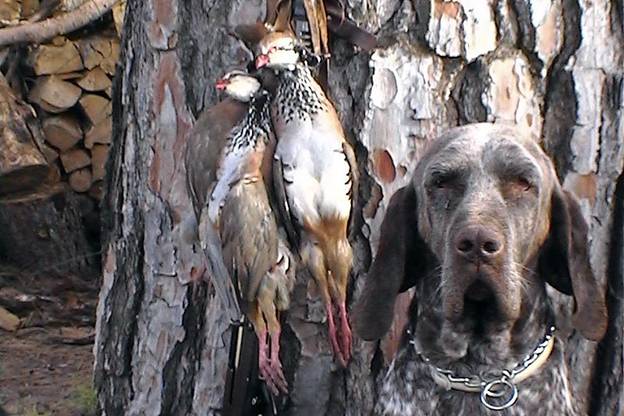 El PP ‘alaba’ la licencia interautonómica de caza y pesca