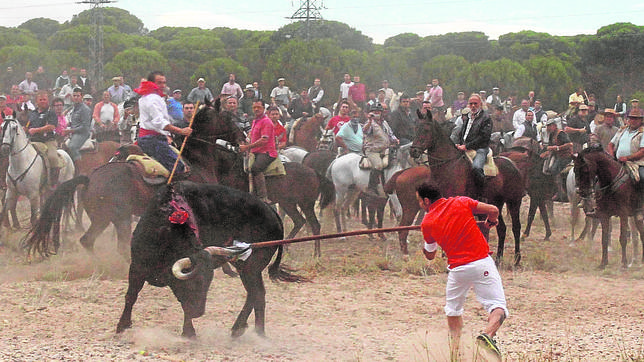 Badiola afirma que la tendencia es evitar espectáculos que hacen sufrir al animal tras el cambio en el Toro de la Vega