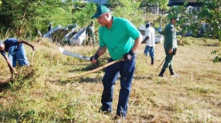 Reforestación Haití ayuda isla