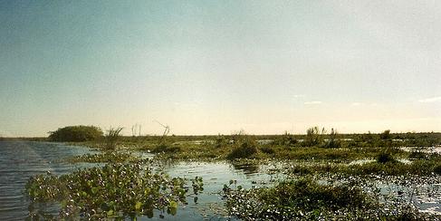 Tetra Pak colabora con WWF en la recuperación de ríos y riberas del Parque Regional del Sureste de Madrid