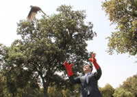 La Comunidad de Madrid devuelve al medio natural varias aves heridas atendidas en el Hospital de Fauna