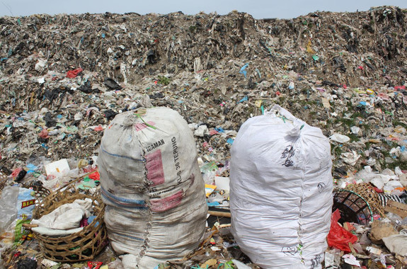 Unos 8.300 millones de toneladas de plástico circulan por el mundo