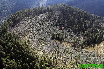 AMAZONIA: Entrevista  a Chico Mendes