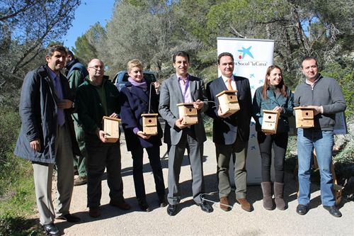 Se instalarán 1.000 cajas nido de aves en los bosques de Mallorca para controlar los insectos