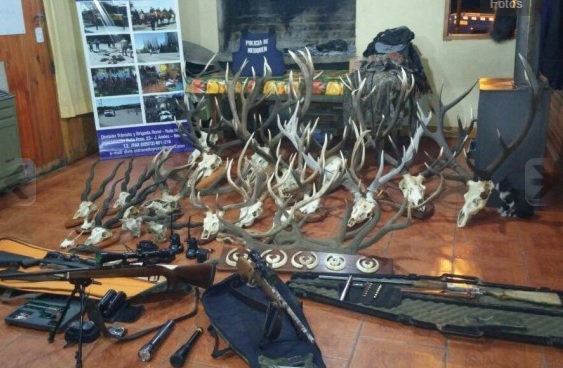 Argentina. Golpe a la caza furtiva en Junín de los Andes