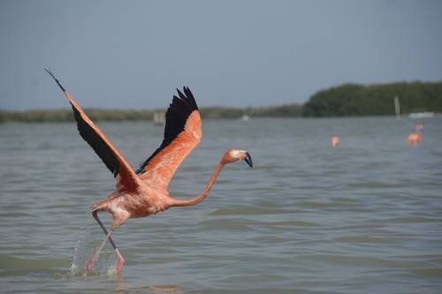 La península de Yucatán padece las terribles consecuencias del calentamiento global