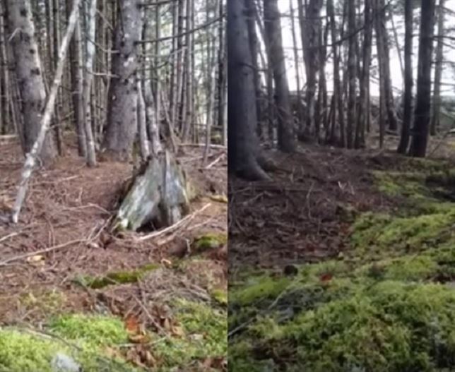 Mira como respira la Tierra (VIDEO)