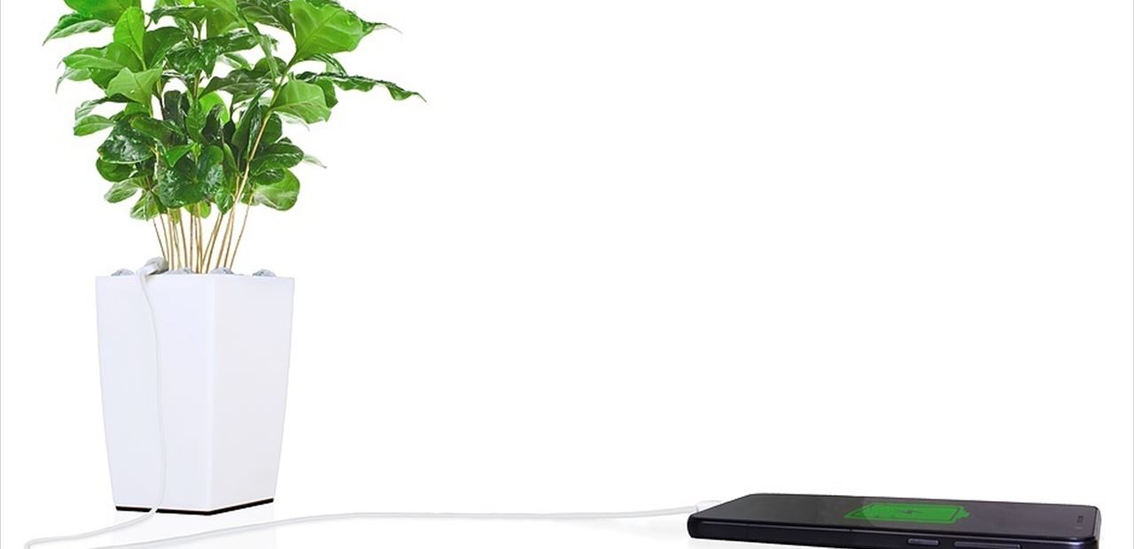 Esta maceta produce energía verde