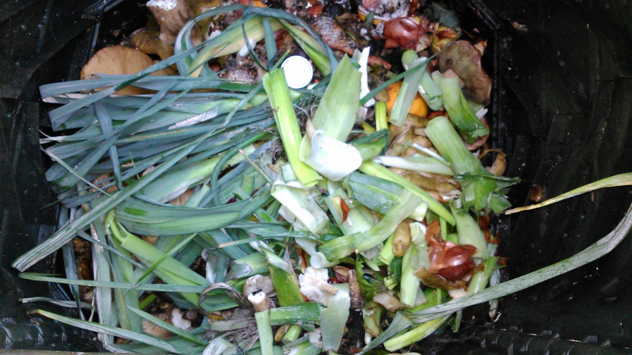 Buen ritmo del programa de compostaje doméstico de Sogama (Galicia)