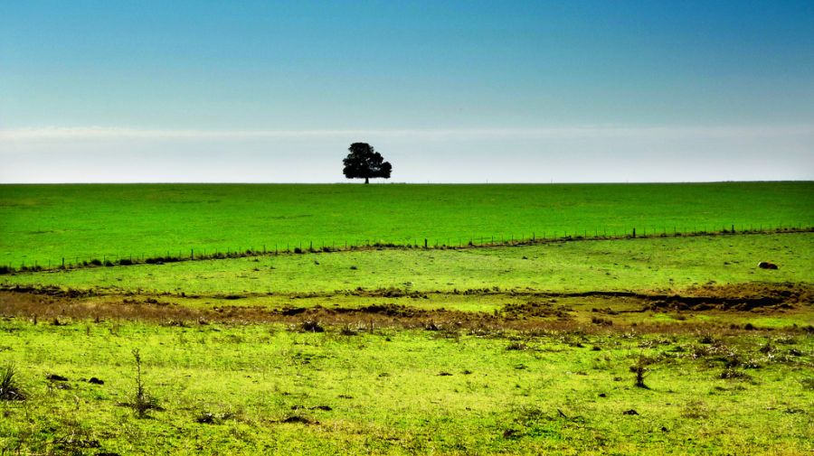 Uruguay apuesta por adaptar su agricultura al cambio climático