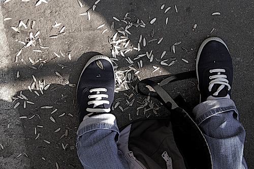 Niños inventan una bolsa biodegradable para echar las cáscaras de pipas