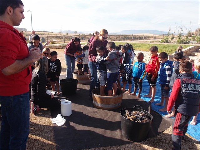 Escolares logroñeses participan en la vendimia dentro de las actividades de Educación Ambiental