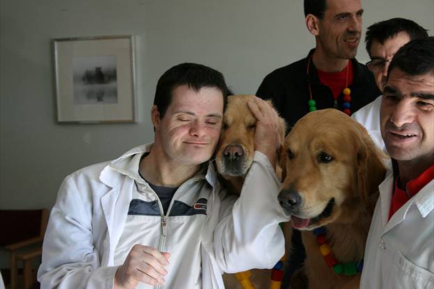 Adultos con discapacidad intelectual construirán cajas nido para pájaros
