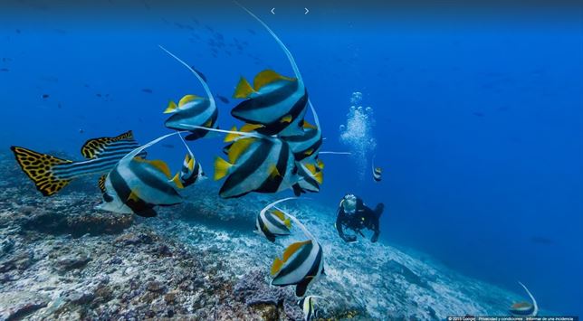 VIDEO de imágenes submarinas de Google Street View de los Océanos