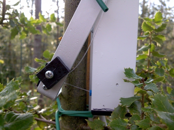 Desarrollan un sensor de crecimiento para calcular el CO2 que absorben los árboles