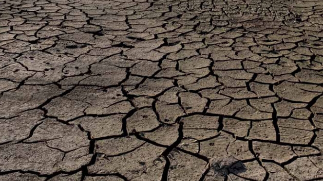 Greenpeace exige cerrar los pozos ilegales