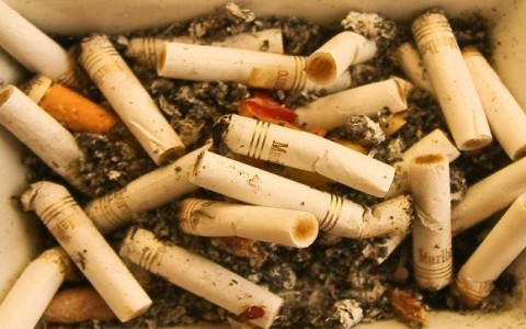 Tabaco: así daña al medio ambiente