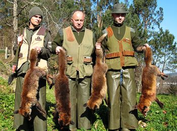 La Federación de Caza de Castilla-La Mancha tilda a los ecologistas de ‘radicales’