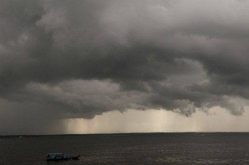 Un estudio revela cómo se producen las partículas de las nubes de la Amazonia