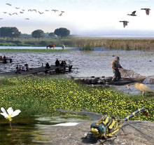 Celebración Día Mundial de los Humedales 2012 (2 de febrero)