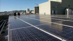 Picaresca Vs paneles solares