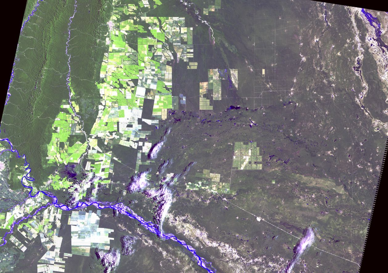 IIMA Consultora participa en el primer Proyecto REDD de deforestación evitada en el Norte de Argentina
