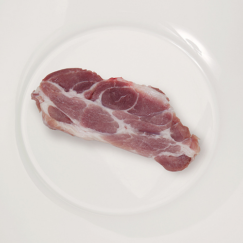 Conservar carnes sin insumos químicos