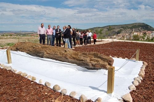 Ars Natura añade a su contenido expositivo un tronco fósil anterior a la época de los dinosarios