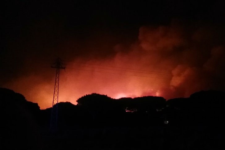 Doñana y la Ley de Montes: bulos y realidades
