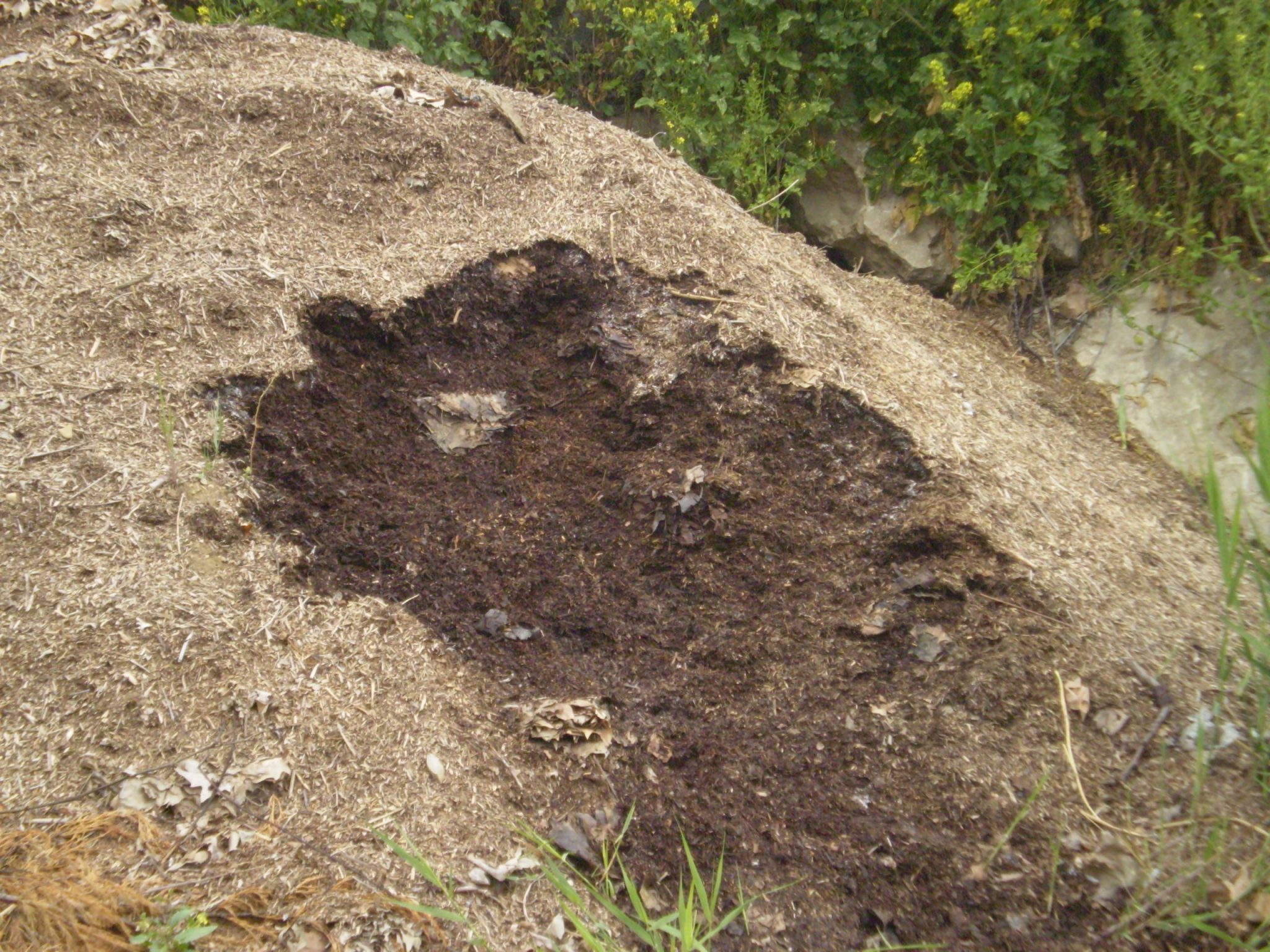 Red Estatal de Entidades Locales por el Compostaje celebra su II Seminario en Asturias