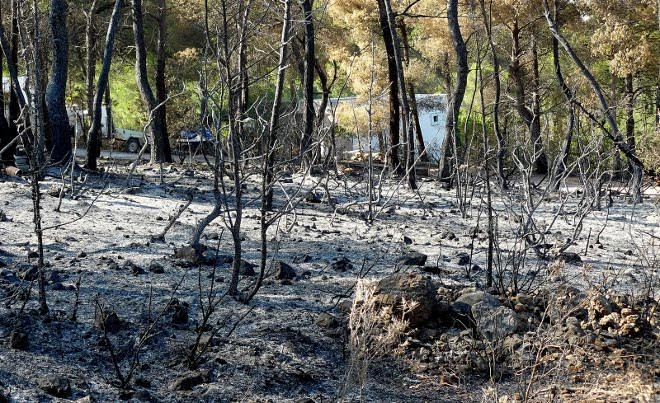 El Defensor recurre ante el TC la Ley de Montes asturiana por rebajar la protección de los montes quemados