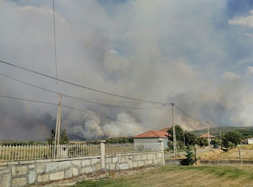 Objetivo: INCENDIOS E "INFLAMABILIDAD" CERO
