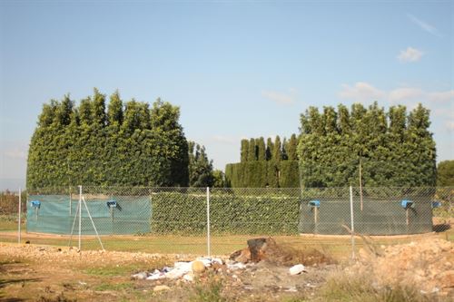 NO al proyecto de investigación del parany científico