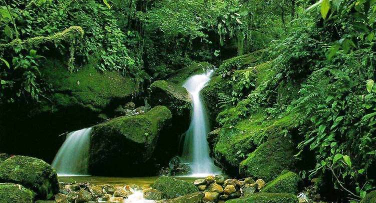 Proyecto solidario de reservas de la biosfera